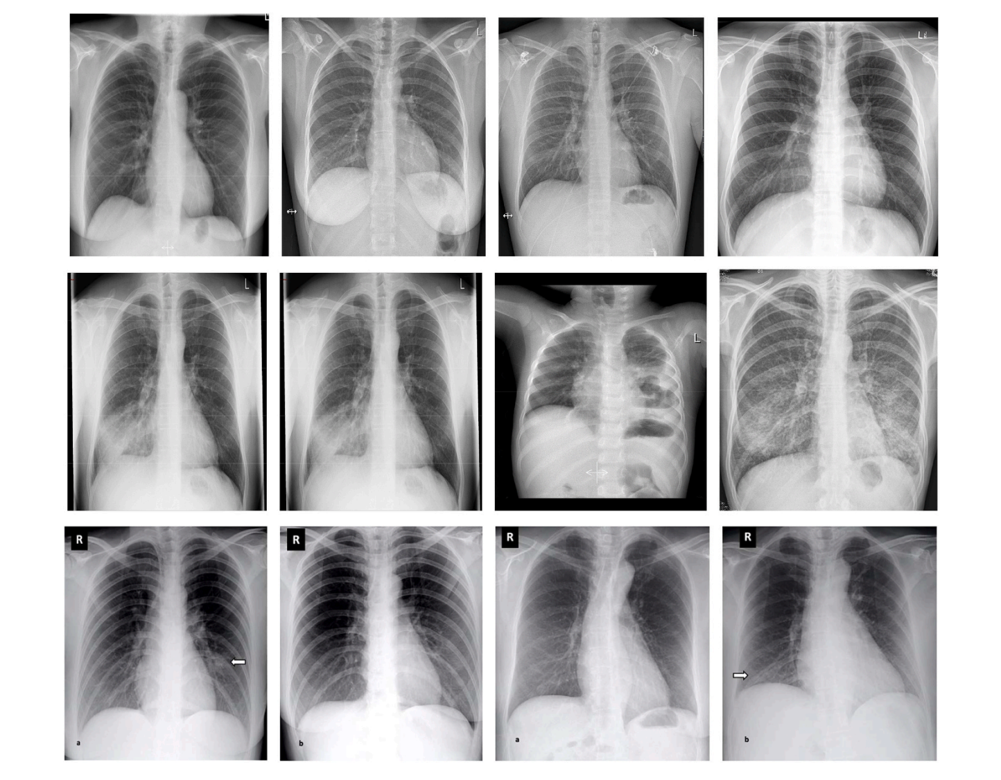 Sample images (Fig. 2)