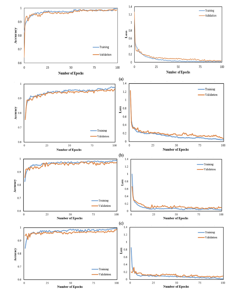 Accuracy and loss curve (Fig. 5)